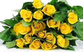 A bouquet yellow rose flowers HD wallpaper