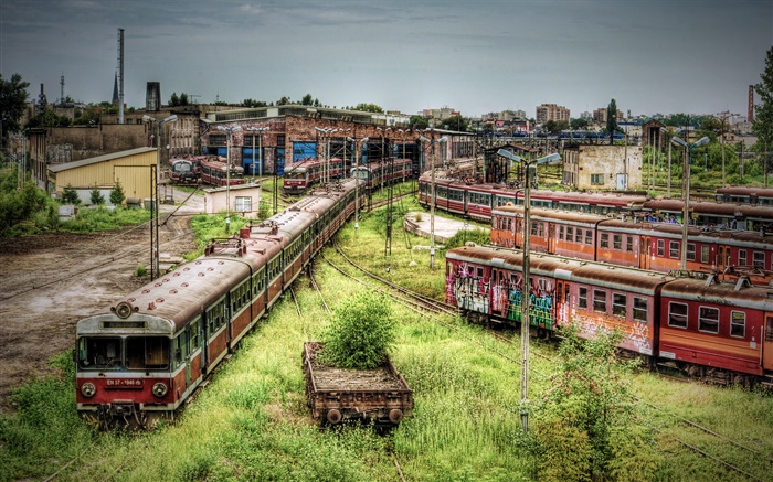 Abandoned subway station, trains, overgrown weeds Wallpapers Pictures Photos Images