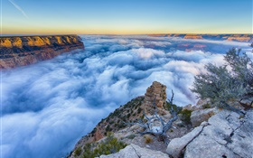 Arizona, USA, Grand Canyon, morning, sunrise, fog, clouds HD wallpaper