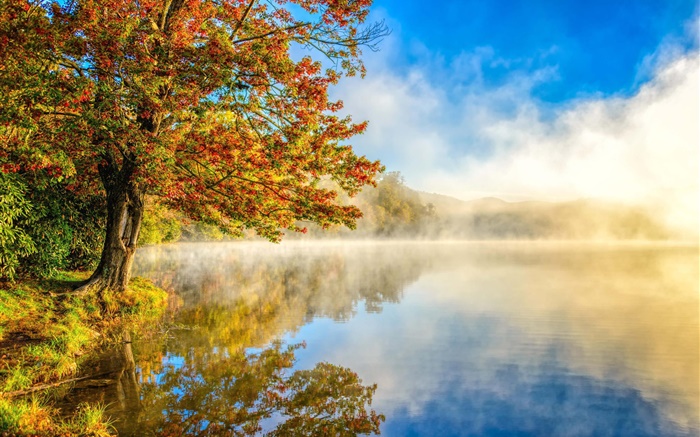 Autumn landscape, lake, mist, forest Wallpapers Pictures Photos Images