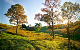 Autumn, trees, grass, sun rays, house HD wallpaper