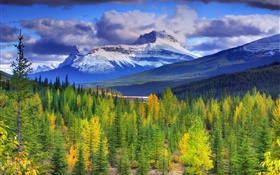Banff National Park, Alberta, Canada, mountains, sky, forest, trees HD wallpaper