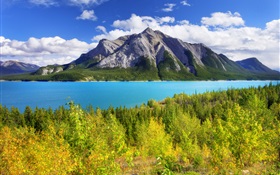 Banff Park, Alberta, Canada, Abraham Lake, mountain, trees HD wallpaper