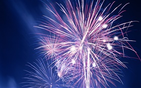 Beautiful fireworks in the sky