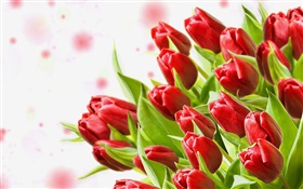 Bouquet flowers, red tulips