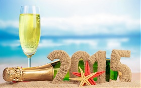 Champagne, starfish, sand, Year 2015 HD wallpaper