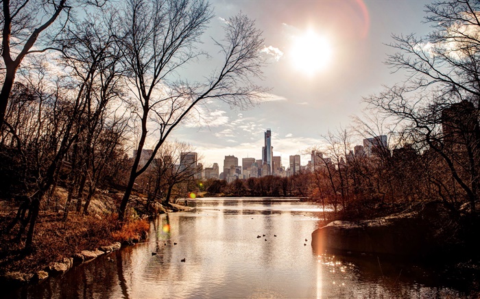 City, buildings, river, trees, sunset Wallpapers Pictures Photos Images