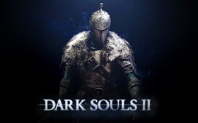 Dark Souls 2 PC game HD wallpaper