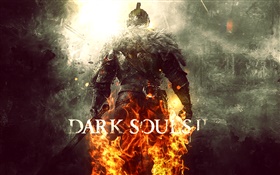 Dark Souls 2, back view