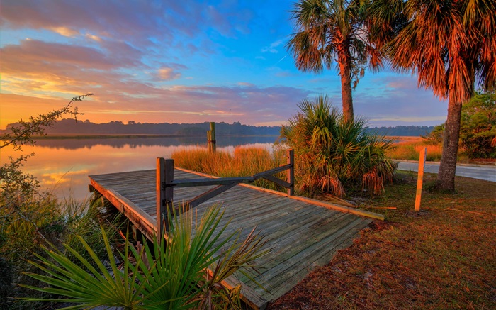 Dusk, trees, pier, river Wallpapers Pictures Photos Images