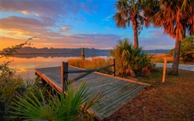 Dusk, trees, pier, river