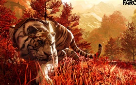 Far Cry 4, white tiger HD wallpaper