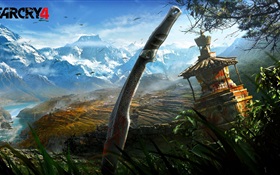 Far Cry 4 HD wallpaper