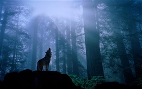 Forest wolf HD wallpaper