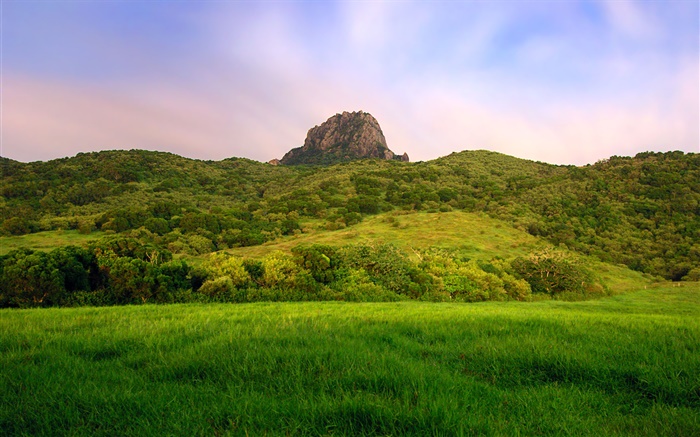 Hillside, green, field Wallpapers Pictures Photos Images