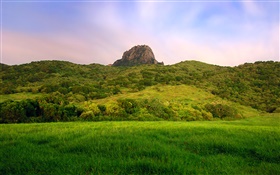 Hillside, green, field HD wallpaper