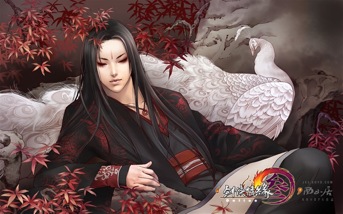 JX three online version, peacock Wallpapers Pictures Photos Images