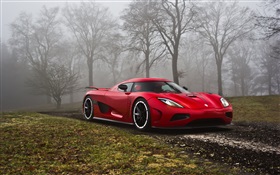 Koenigsegg red supercar in the forest HD wallpaper