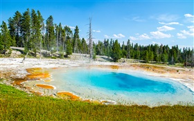 Lake, trees, blue sky HD wallpaper