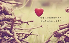 Love heart and twigs HD wallpaper
