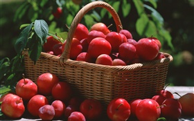 Many red plums, basket HD wallpaper