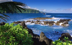 Maui, Hawaii, United States, sea HD wallpaper