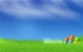 Microsoft Windows logo in the grass HD wallpaper
