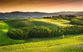 Morning nature landscape, fields, fog, Italy HD wallpaper
