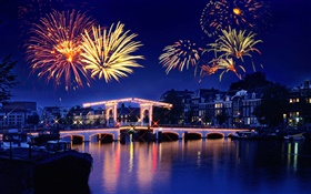 Night, city, house, lights, bridge, river, fireworks HD wallpaper