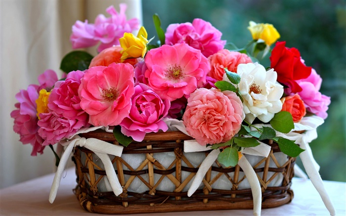 Red rose flowers, basket Wallpapers Pictures Photos Images