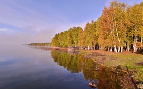 Russia, Lake Baikal, trees HD wallpaper