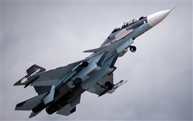Su-30 fighter