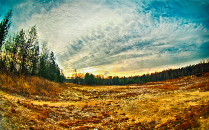 Sunset, trees, grass Wallpapers Pictures Photos Images