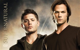Supernatural, TV series HD wallpaper