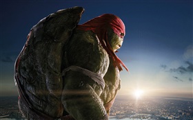 Teenage Mutant Ninja Turtles, Raph HD wallpaper