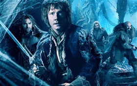 The Hobbit: The Desolation of Smaug HD wallpaper