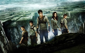 The Maze Runner, movie poster HD wallpaper
