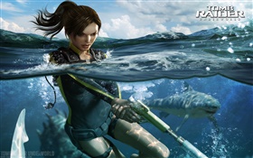 Tomb Raider: Underworld, Lara Croft HD wallpaper