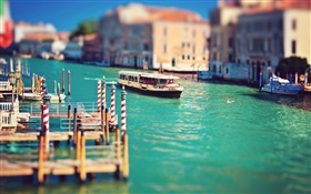 Venice, cruise, birds HD wallpaper