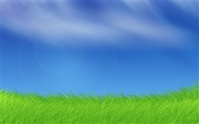 Windows pictures, grass, blue sky HD wallpaper
