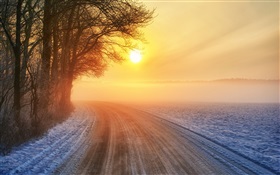 Winter sunrise, road, mist, trees HD wallpaper