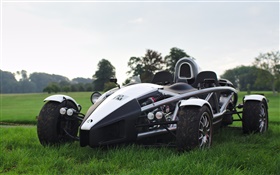 Ariel Atom race car