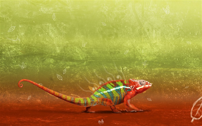 Artistic chameleon close-up Wallpapers Pictures Photos Images