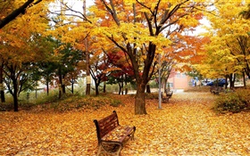 Autumn, trees, leaves, park, bench HD wallpaper