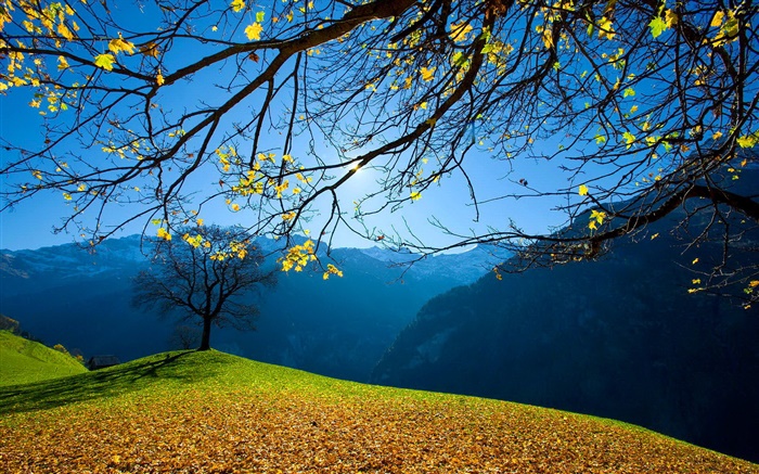 Autumn, trees, mountains, blue sky, sun rays Wallpapers Pictures Photos Images