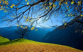 Autumn, trees, mountains, blue sky, sun rays HD wallpaper