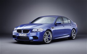 BMW M5 blue car