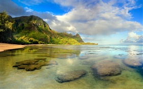 Beach, coral reef, underwater, Kauai, Hawaiian HD wallpaper