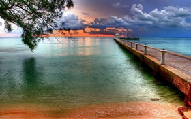 Beach, sea, pier, tree, clouds, sunset HD wallpaper