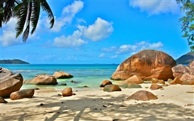 Beach, sea, stones, sun rays, Seychelles Island HD wallpaper